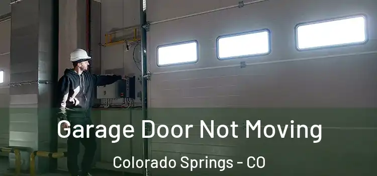  Garage Door Not Moving Colorado Springs - CO